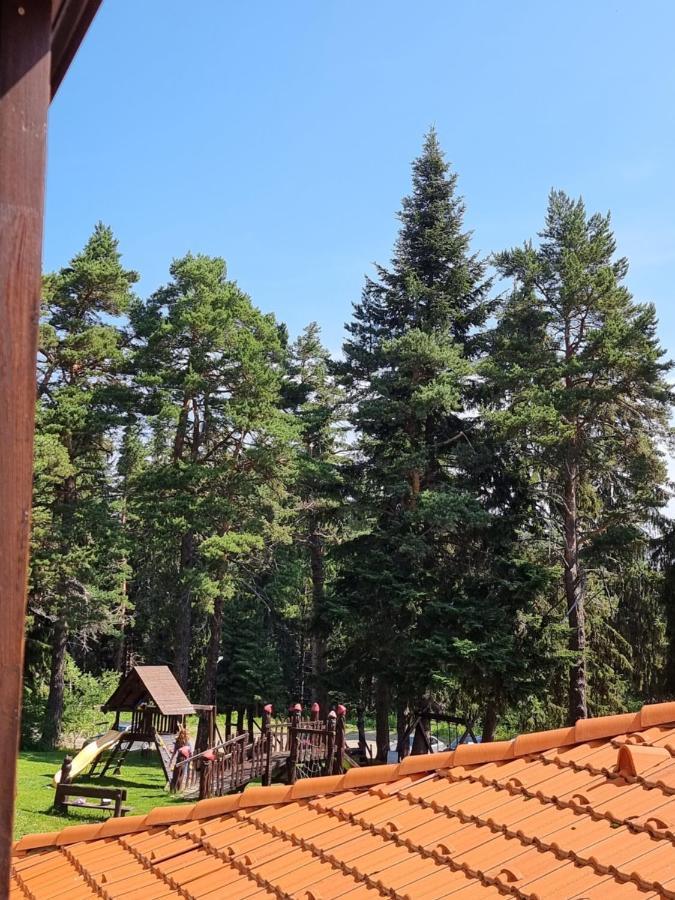 Borovets Ski&Spa Studio - Semiramida Garden A16 Экстерьер фото